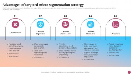 Advantages Of Targeted Micro Segmentation Strategic Micromarketing Adoption Guide MKT SS V
