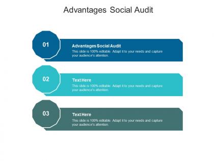 Advantages social audit ppt powerpoint presentation pictures rules cpb