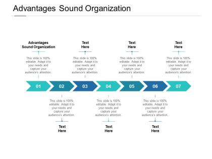 Advantages sound organization ppt powerpoint presentation layouts ideas cpb