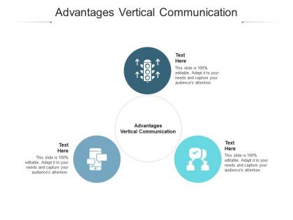 Advantages vertical communication ppt powerpoint presentation outline diagrams cpb