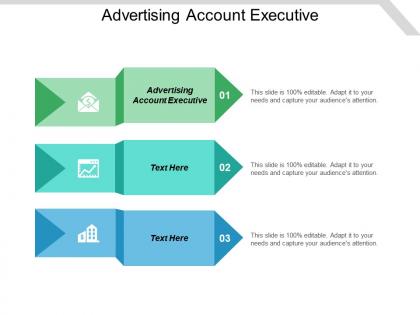 Advertising account executive ppt powerpoint presentation gallery slide portrait cpb