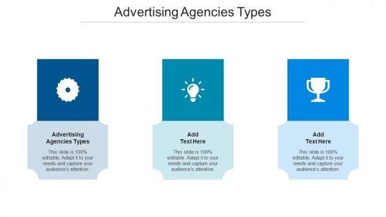 Advertising Agencies Types Ppt Powerpoint Presentation Summary Designs Cpb