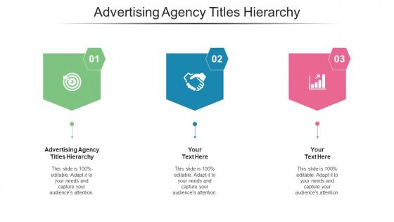 Advertising Agency Titles Hierarchy Ppt PowerPoint Presentation Visual Aids Infographics Cpb
