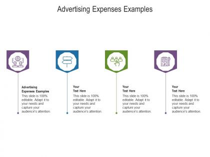 Advertising expenses examples ppt powerpoint presentation slides graphics design cpb