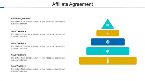 Affiliate Agreement Ppt Powerpoint Presentation Layouts Design Inspiration Cpb