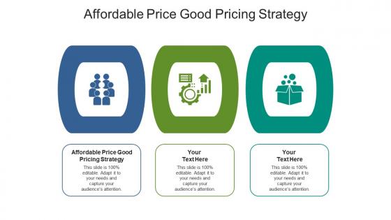 Affordable price good pricing strategy ppt powerpoint presentation slides cpb