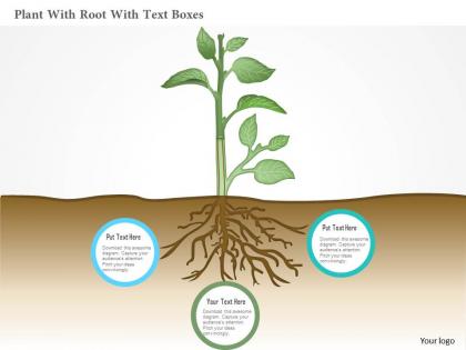 Ag plant with root with text boxes powerpoint template