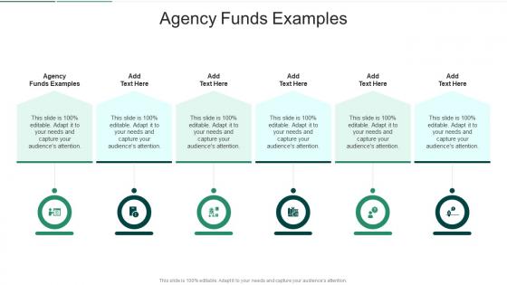 Agency Funds Examples In Powerpoint And Google Slides Cpb