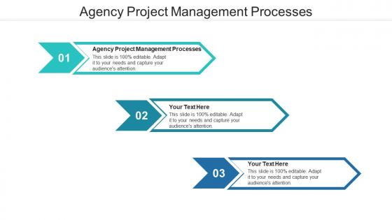 Agency project management processes ppt powerpoint presentation file clipart cpb