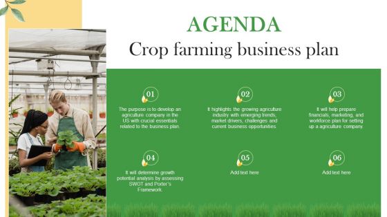 Agenda Crop Farming Business Plan Ppt Background BP SS