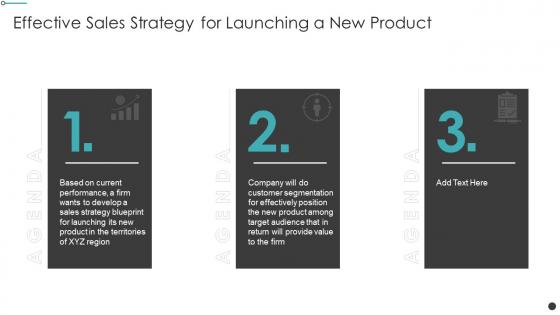 Agenda Effective Sales Strategy For Launching A New Product