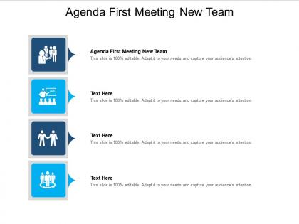 Agenda first meeting new team ppt powerpoint presentation professional graphic images cpb