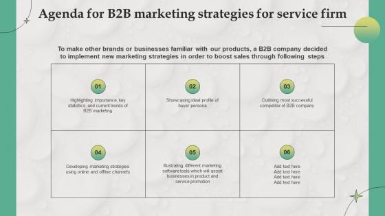 Agenda For B2B Marketing Strategies For Service Firm MKT SS V