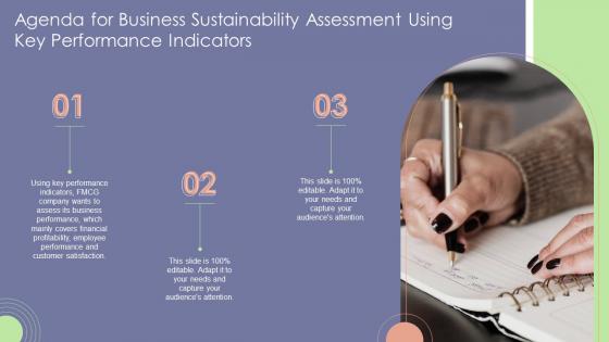 Agenda For Business Sustainability Assessment Using Key Performance Indicators Ppt Summary