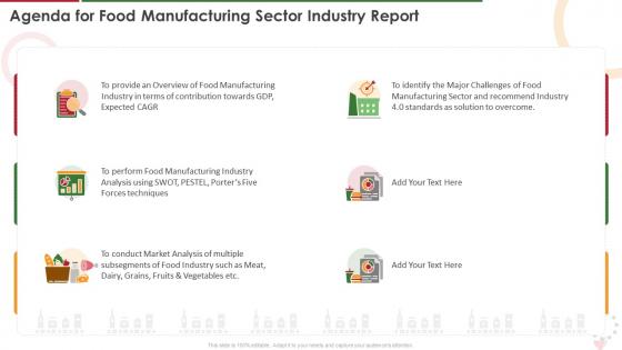 Agenda For Food Manufacturing Sector Industry Report Ppt Infographics