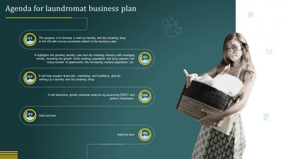 Agenda For Laundromat Business Plan Ppt Icon Graphics Design BP SS