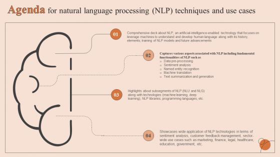 Agenda For Natural Language Processing And Use Cases AI SS V