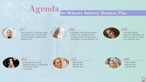 Agenda For Skincare Industry Business Plan Ppt Infographic Template Model BP SS