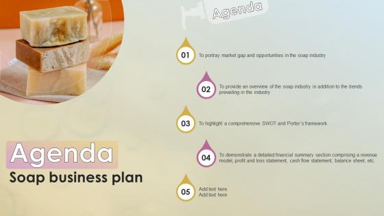 Agenda For Soap Business Plan BP SS