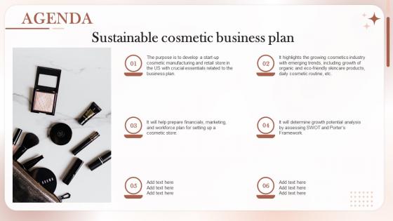 Agenda For Sustainable Cosmetic Business Plan Ppt Infographic Template Backgrounds BP SS
