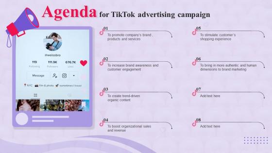 Agenda For TikTok Advertising Campaign MKT SS V