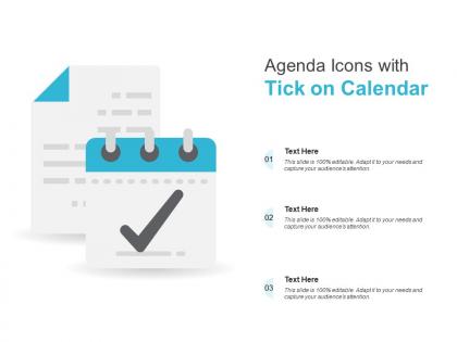 Agenda icons with tick on calendar