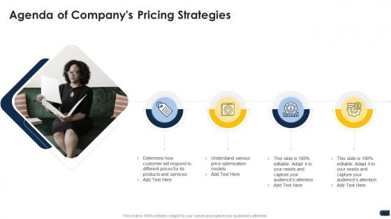 Agenda of companys pricing strategies ppt outline