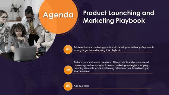 Agenda Product Launching And Marketing Playbook Ppt Infographics