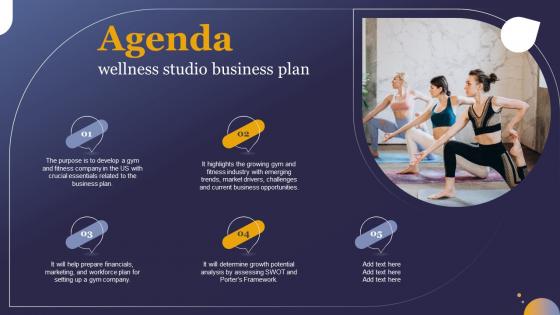 Agenda Wellness Studio Business Plan Ppt Powerpoint Presentation Infographics Show BP SS