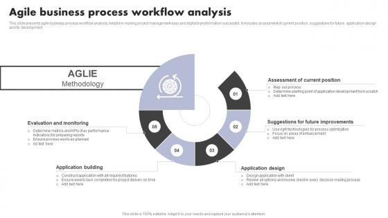 Agile Business Process Workflow Analysis