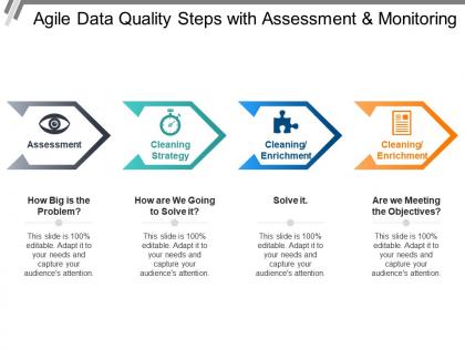 Agile data quality steps with assessment and monitoring