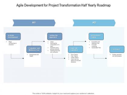 Agile development for project transformation half yearly roadmap
