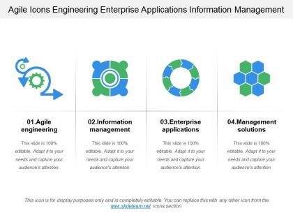 Agile icons engineering enterprise applications information management