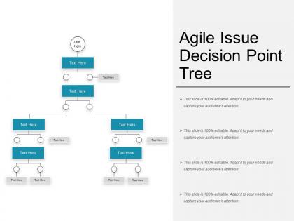 Agile issue decision point tree