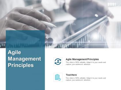 Agile management principles ppt powerpoint presentation portfolio templates cpb
