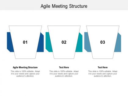 Agile meeting structure ppt powerpoint presentation infographics objects cpb