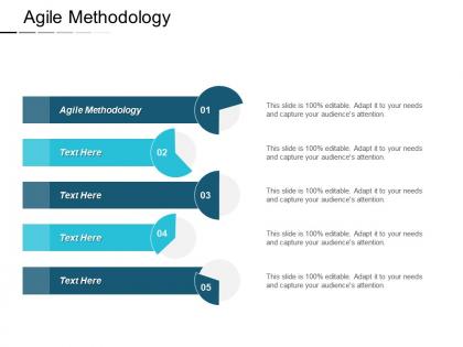 Agile methodology ppt powerpoint presentation pictures graphics template cpb