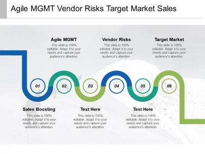 Agile mgmt vendor risks target market sales boosting cpb