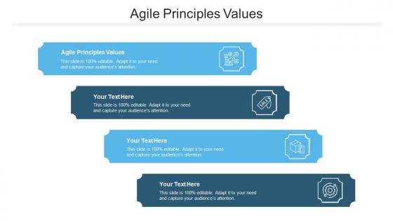 Agile principles values ppt powerpoint presentation model mockup cpb