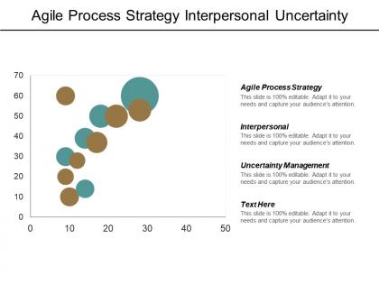Agile process strategy interpersonal uncertainty management decision management cpb