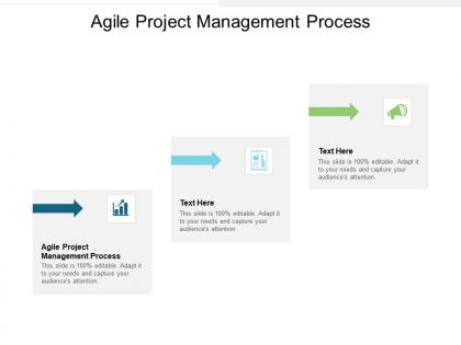 Agile project management process ppt powerpoint presentation ideas gridlines cpb