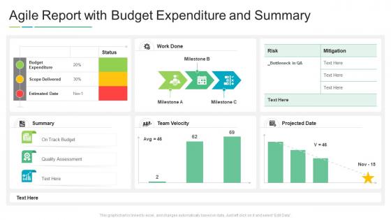 Agile report with budget expenditure and summary
