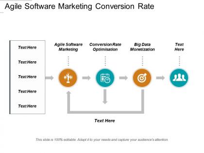 Agile software marketing conversion rate optimisation big data monetization cpb