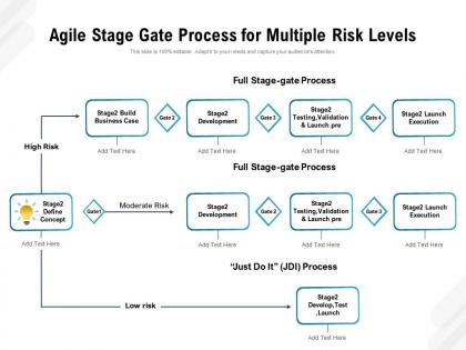 Agile stage gate process for multiple risk levels