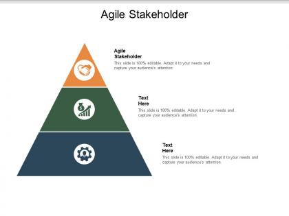 Agile stakeholder ppt powerpoint presentation visual aids gallery cpb