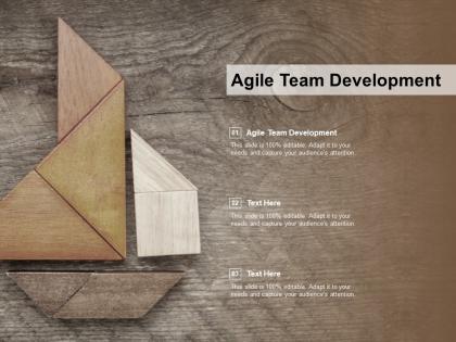 Agile team development ppt powerpoint presentation gallery outfit cpb