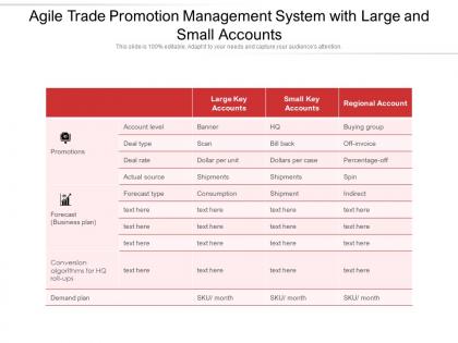 Agile trade promotion management system with large and small accounts