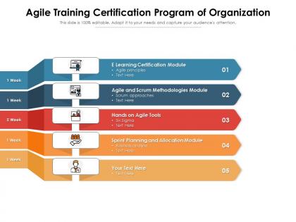 Agile training certification program of organization