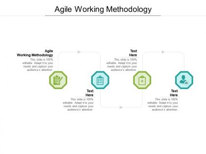 Agile working methodology ppt powerpoint presentation summary gallery cpb