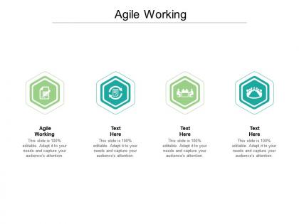 Agile working ppt powerpoint presentation infographic template objects cpb